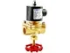 Brass 2/2-Way Solenoid Valve, 2WM Series