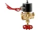 Brass 2/2-Way Solenoid Valve, 2WM Series