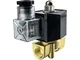 Brass 2/2-Way Solenoid Valve, 2W040-10-D2-D Series
